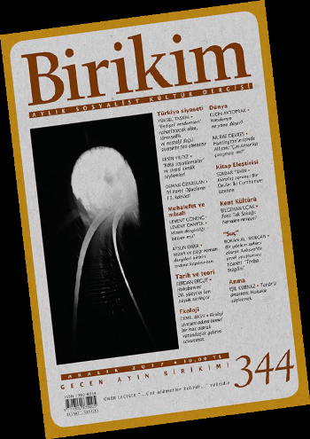 Birikim Sayı 344 (Aralık 2017)