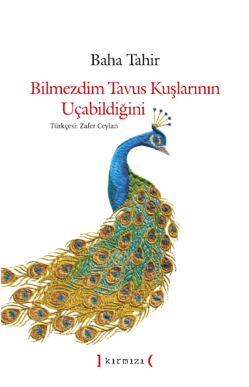 Bilmezdim Tavus Kuşlarının Uçabildiğini