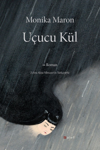 Uçucu Kül