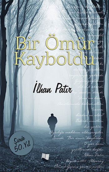 Bir Ömür Kayboldu