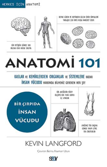 Anatomi 101 - Kaslar ve Kemiklerden Organlar ve Sistemlere kadar İnsan Vücudu Hakkında Bilmeniz Gereken Her Şey