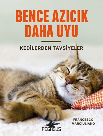 Bence Azıcık Daha Uyu - Kedilerden Tavsiyeler