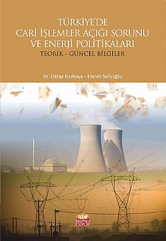 Türkiye'de Cari İşlemler Açığı Sorunu ve Enerji Politikaları