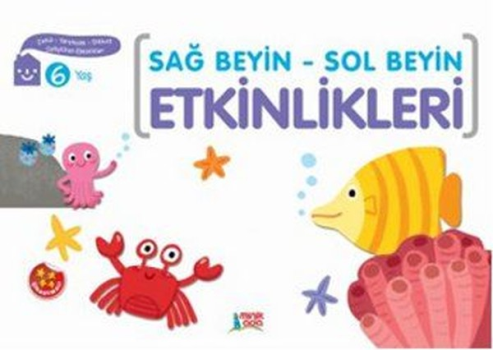 Sağ Beyin-Sol Beyin Etkinlikleri 6