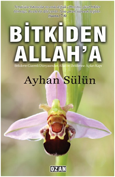 Bitkiden Allah'a