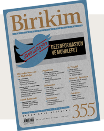 Birikim Sayı 355