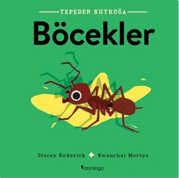 Böcekler- Tepeden Kuyruğa