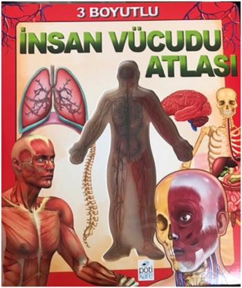 3 Boyutlu İnsan Vücudu Atlası