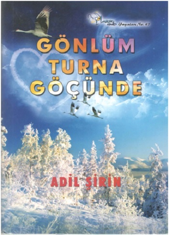 Gönlüm Turna Göçünde