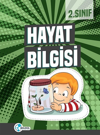 Molekül Yayınları 2. Sınıf Hayat Bilgisi