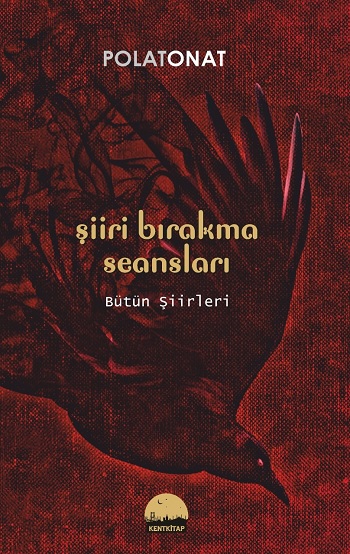 Şiiri Bırakma Seansları