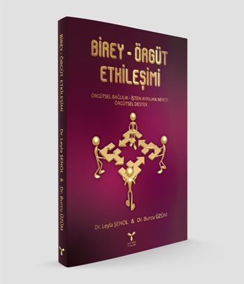 Birey-Örgüt Etkileşimi