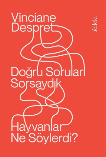 Doğru Soruları Sorsaydık  Hayvanlar Neler Söylerdi?