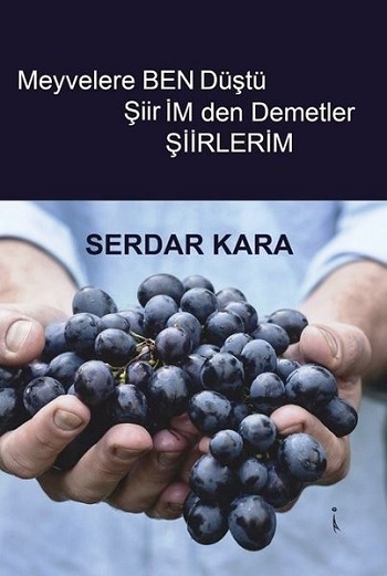 Meyvelere Ben Düştü Şiirimden Demetler